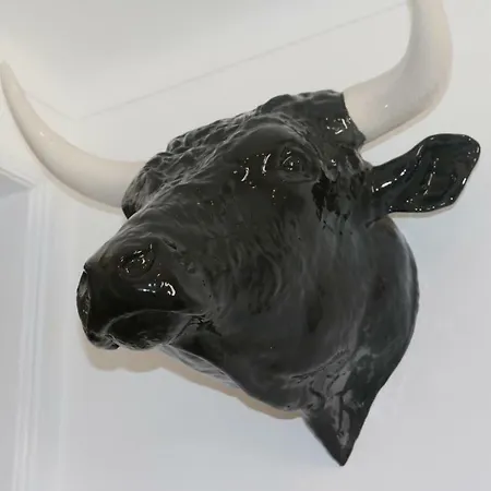 Spacious, Bright And Newly Renovated 2 Bedroom Apartment, Historical Center, Madragoa * 리스본